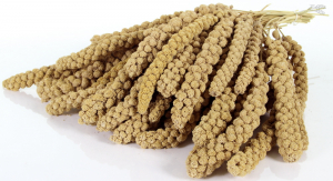 Trosgierst chinees geel 1000 gr